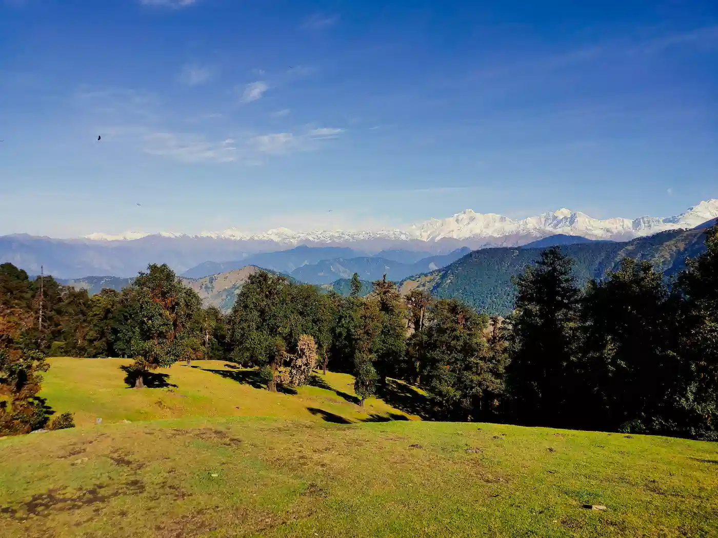 Wide-angle view of the Chopta meadow and surrounding peaks